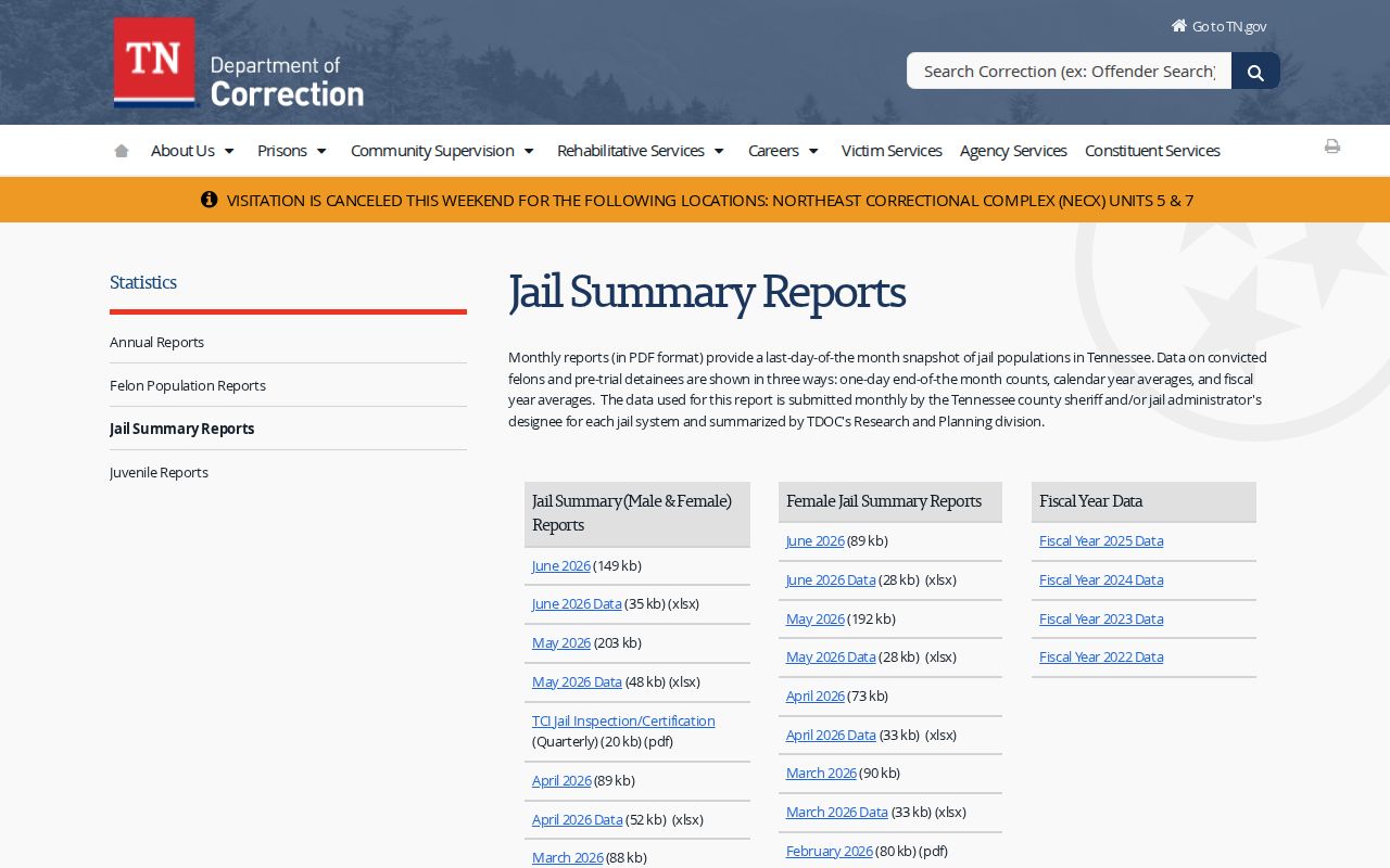 Lake County release records context in Tennessee jail summary reports